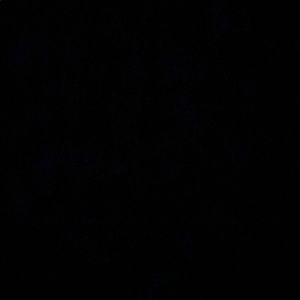 Meet your Posher, Craig